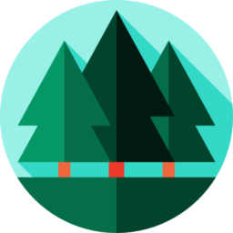 случайные картинки без фона