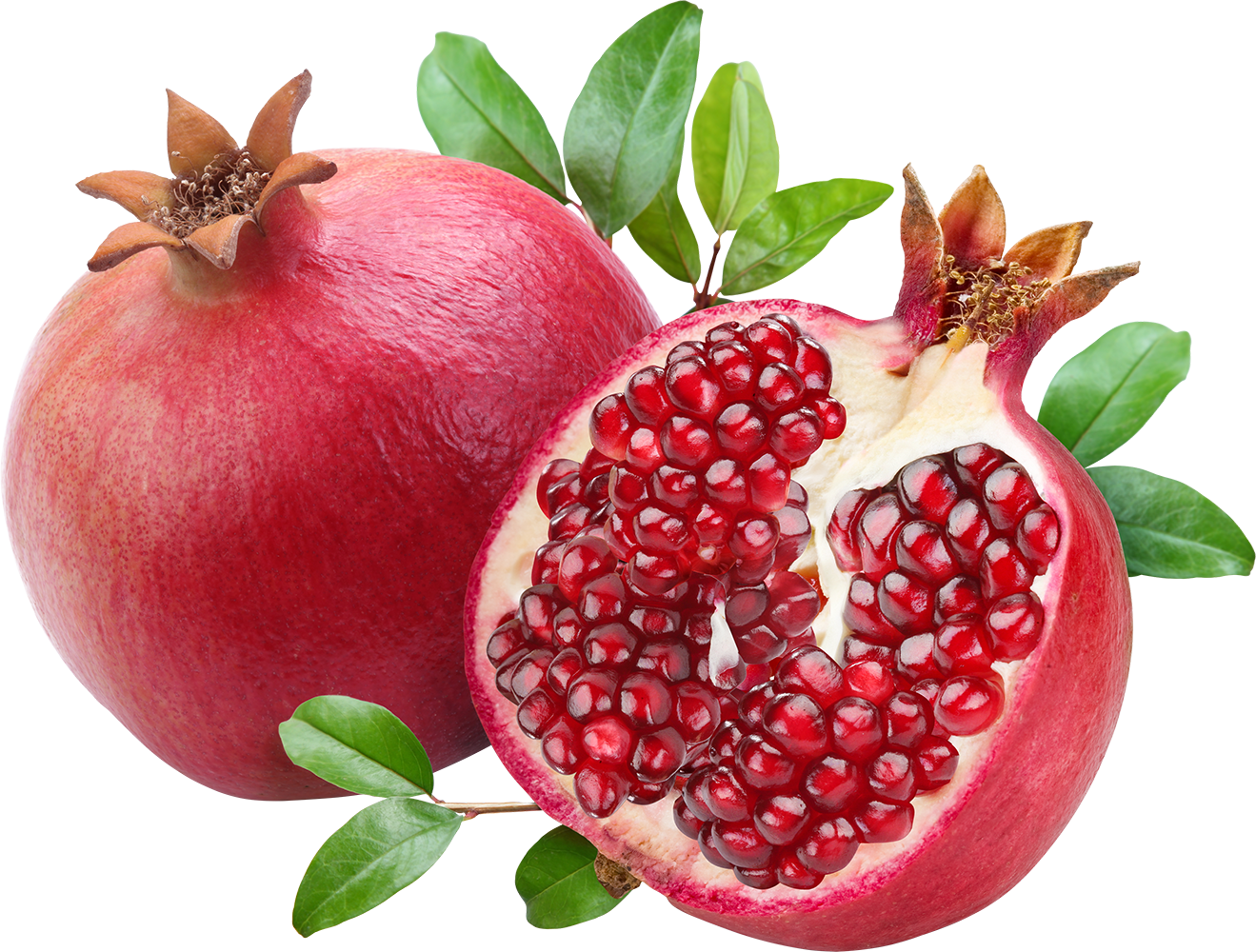 случайные картинки без фона