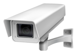 случайные картинки без фона