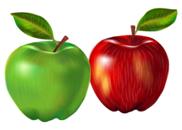 случайные картинки без фона